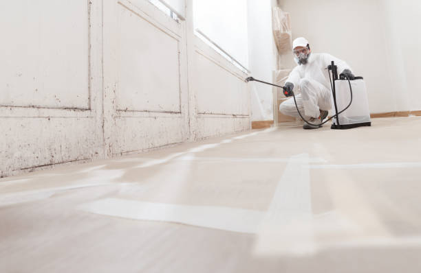 24/7 Emergency Mold Cleanup experts in Harrison, NY